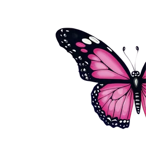 Pink Butterfly Border PNG 64