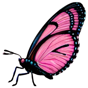 Pink Butterfly Captured Image PNG 48