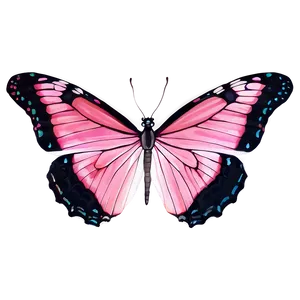 Pink Butterfly Clear Image PNG 06212024