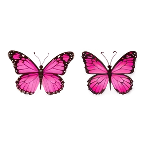 Pink Butterfly Clear Image PNG Dlg51 PNG