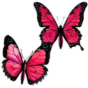 Pink Butterfly Clear Shot PNG 06212024 PNG