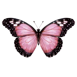 Pink Butterfly Clear Shot PNG 35 PNG