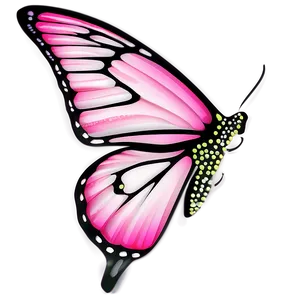 Pink Butterfly Emoji PNG 05232024