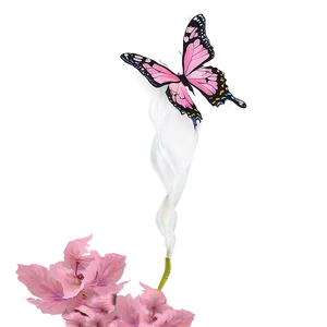Pink Butterfly Environment PNG 06212024