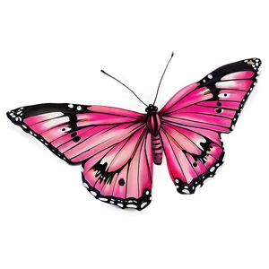 Pink Butterfly Fine Detail PNG Bqt
