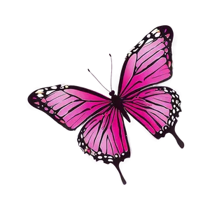 Pink Butterfly Flying Sequence PNG 83