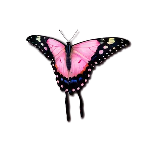 Pink Butterfly Genuine Image PNG Wcr81 PNG