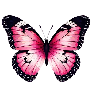 Pink Butterfly Genuine Photo PNG 13 PNG