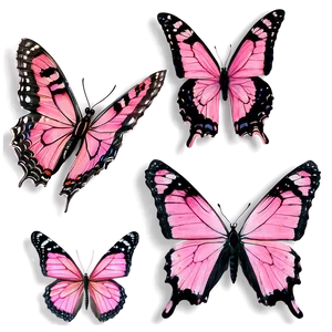 Pink Butterfly Genuine Photo PNG 59 PNG