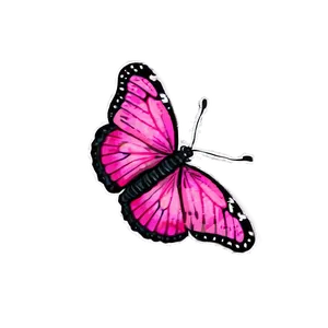 Pink Butterfly In Daylight PNG 5