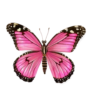 Pink Butterfly In Flight PNG 31