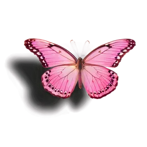 Pink Butterfly In Flight PNG Eyg97