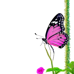 Pink Butterfly In Garden PNG Bpr23 PNG