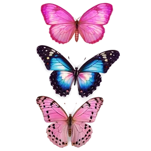 Pink Butterfly In Hd PNG 6