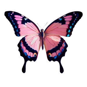 Pink Butterfly In Natural Light PNG 06212024 PNG