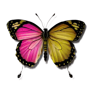 Pink Butterfly In Nature Png 39 PNG image