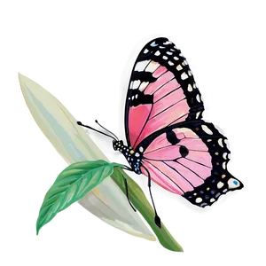 Pink Butterfly In The Wild PNG Uen