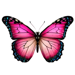 Pink Butterfly In True Color PNG Jhv PNG