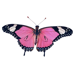 Pink Butterfly In Wild Png 92 PNG image