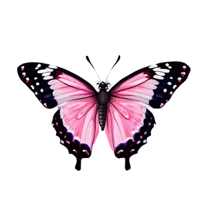 Pink Butterfly Natural Beauty PNG Qfh40 PNG