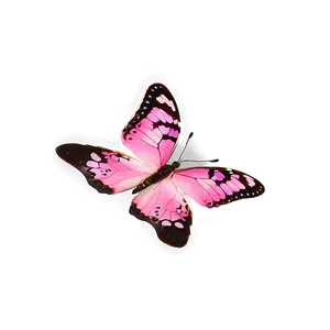 Pink Butterfly Natural Habitat PNG 06212024 PNG