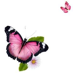 Pink Butterfly On Flower PNG Ppg