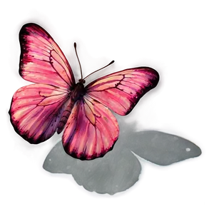 Pink Butterfly On White Background PNG 05232024