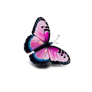 Pink Butterfly On White Background PNG Xtw30