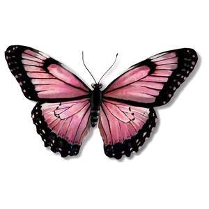 Pink Butterfly Outdoor PNG 06212024