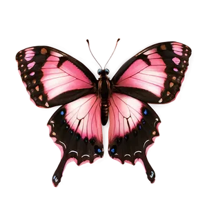 Pink Butterfly Real Shot PNG Cbm PNG