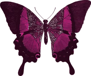 Pink Butterfly Silhouette