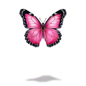 Pink Butterfly True Color Png 06212024 PNG image