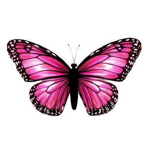 Pink Butterfly Unique Image PNG Ord PNG
