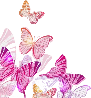 Pink Butterfly Vector Art
