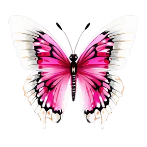 Pink Butterfly Vivid Image PNG 06212024