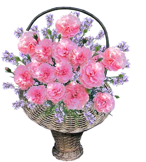 Pink Carnationsin Basket PNG image