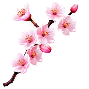 Pink Cherry Blossom Clipart Png Gag PNG image