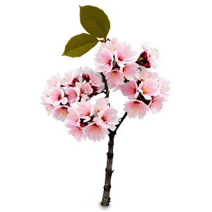 Pink Cherry Tree Png 06212024 PNG image