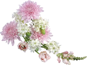 Pink_ Chrysanthemums_and_ White_ Flowers_ Arrangement PNG image
