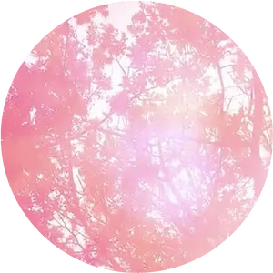 Pink Circle Trees Overlay PNG image