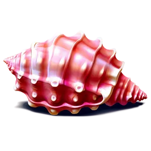 Pink Conch Shell Illustration Png 06132024 PNG image