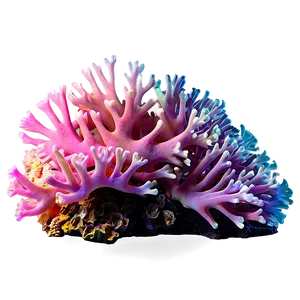 Pink Coral Reef PNG Ilw18