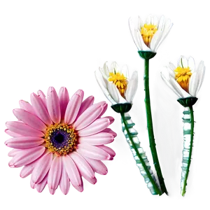 Pink Daisy Bloom PNG Efo
