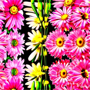 Pink Daisy Flowers PNG 70 PNG