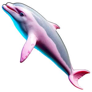 Pink Dolphin Png Mxx58 PNG image
