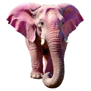Pink Elephant At Sunset PNG Jjr82