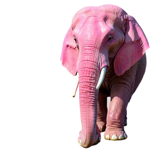 Pink Elephant At The Beach PNG 06292024