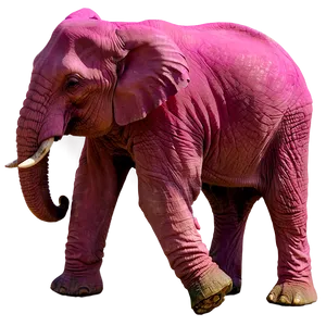 Pink Elephant In Nature PNG 06292024