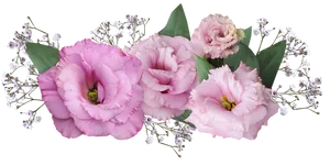 Pink_ Eustoma_ Flowers_ Arrangement