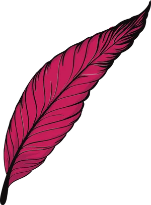 Pink Feather Pen Illustration PNG image